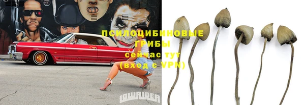 скорость Алзамай