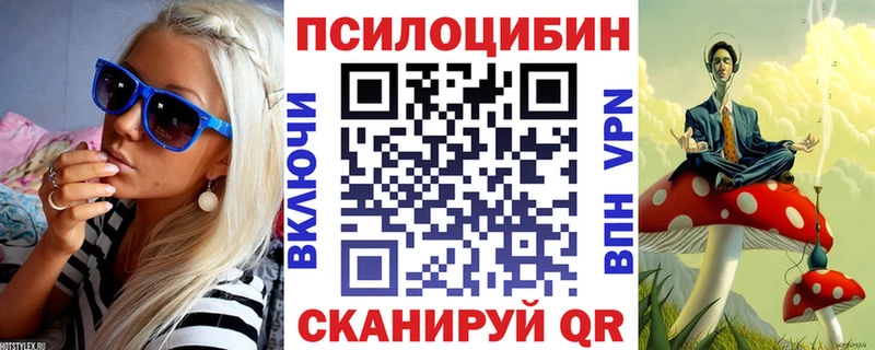 kraken онион  Невьянск  Псилоцибиновые грибы GOLDEN TEACHER 